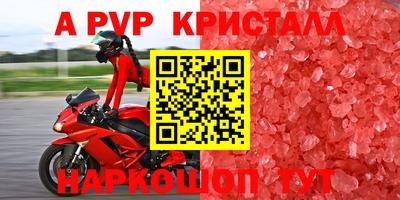 шишки Новокубанск