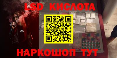 прущие грибы Новозыбков