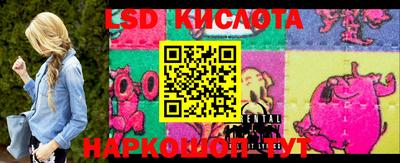 шишки Новокубанск