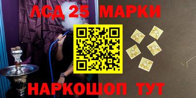 прущие грибы Новодвинск
