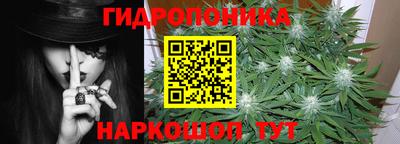 шишки Новокубанск