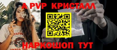 прущие грибы Новозыбков