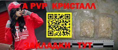 прущие грибы Новозыбков