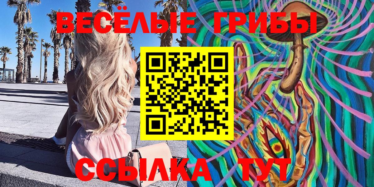 Галлюциногенные грибы мицелий  Вход с VPN  Сургут  где купить   Псилоцибиновые грибы MAGIC MUSHROOMS 